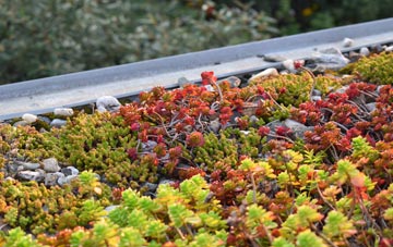 the cost of Spithurst green roof installation